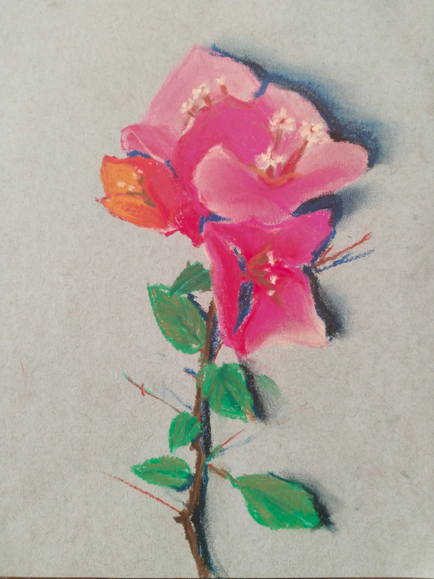 Botanical set of 4