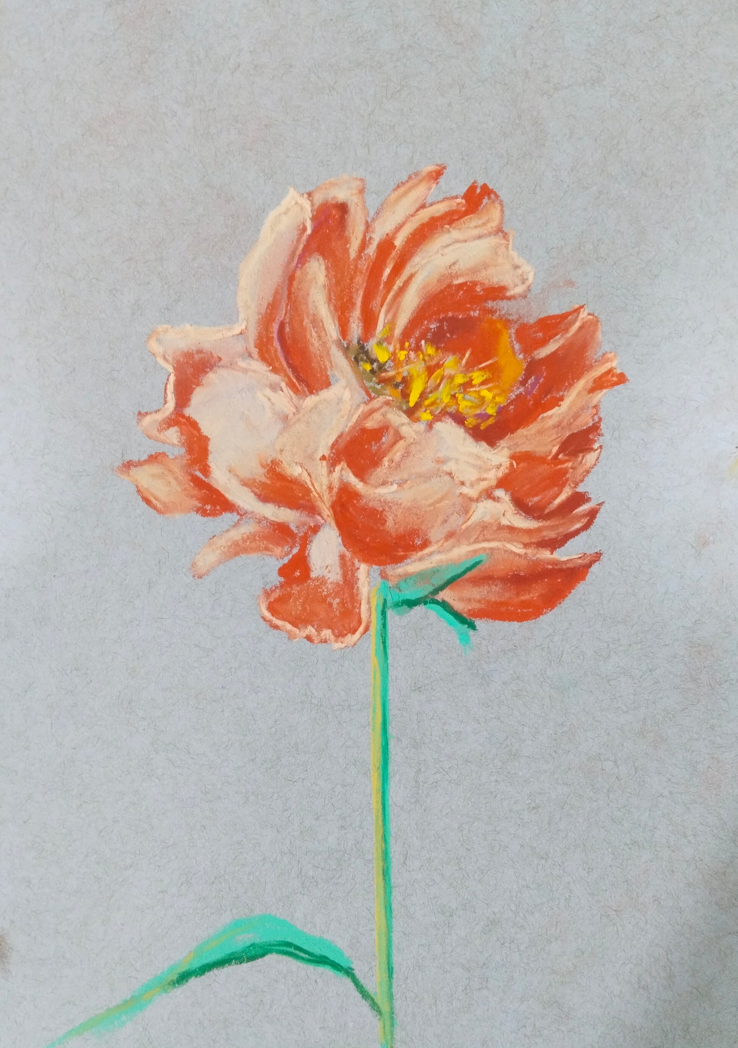 Botanical set of 4