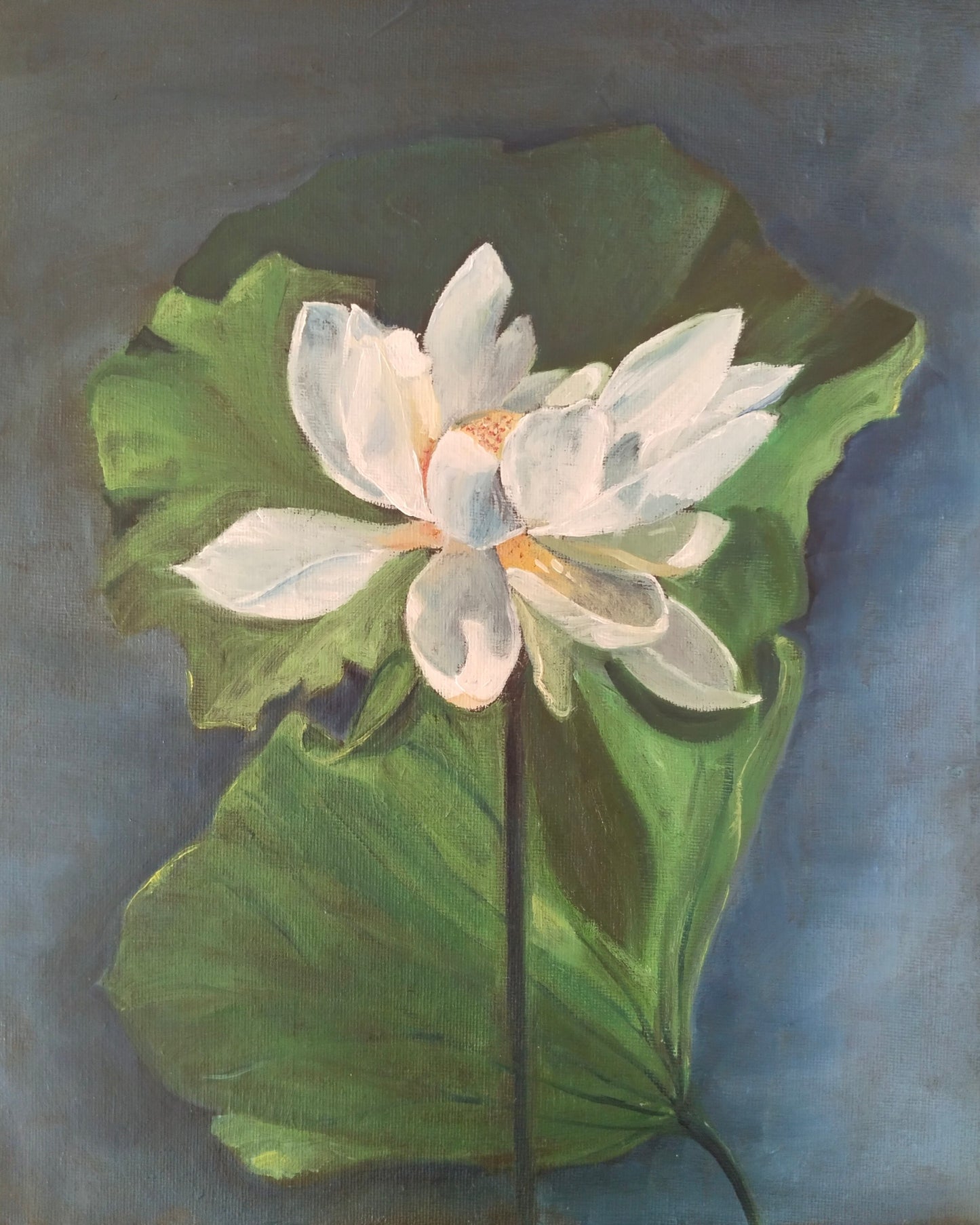 Lotus